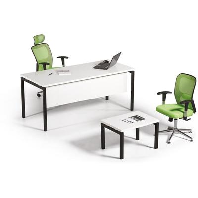 Ferro Çalışma Masası