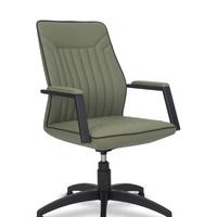 Nexus Boyalı Misafir Koltuğu