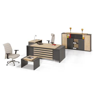 Pasifik Eko Yönetici Takımı