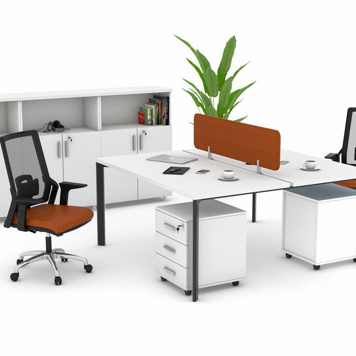 Penta 2'li Çalışma İstasyonu