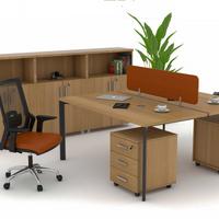 Penta 2'li Çalışma İstasyonu