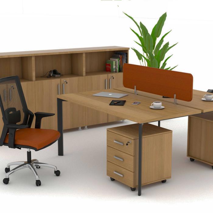 Penta 2'li Çalışma İstasyonu