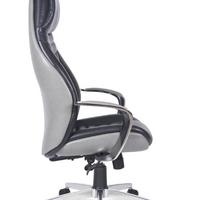 Sega Müdür Koltuğu