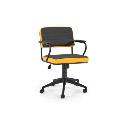 Spor Çalışma Koltuğu