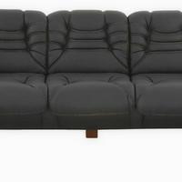 Tiger Kanepe Takımı